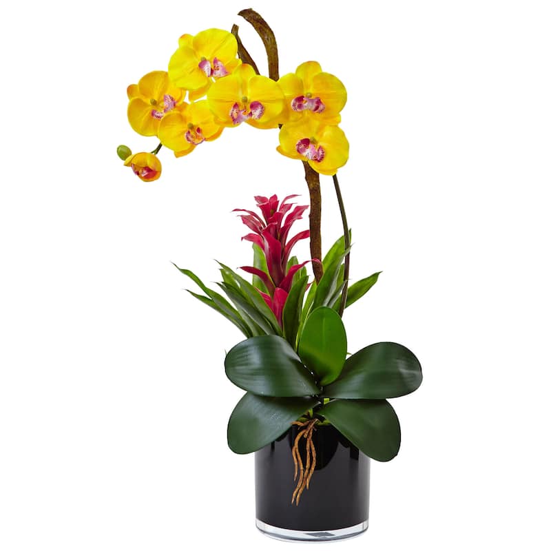 Nearly Natural Orchid and Bromeliad in Glossy Black Cylinder