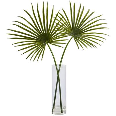 The Curated Nomad Zaius Fan Palm Arrangement