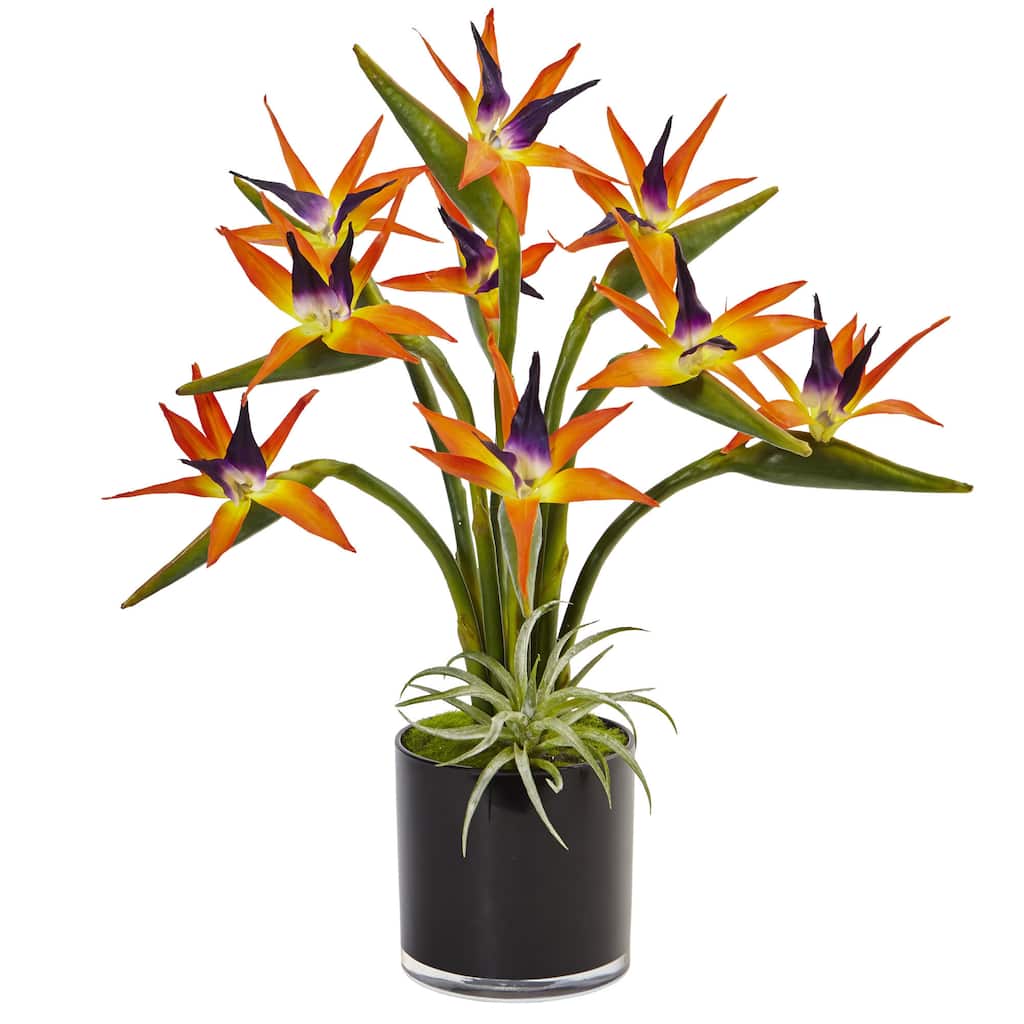 Nearly Natural Bird of Paradise in Black Glossy Cylinder