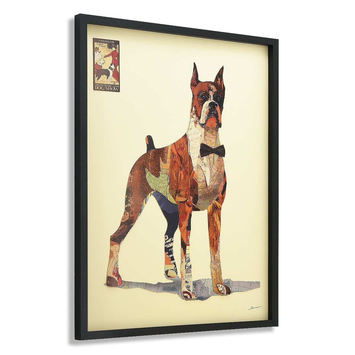 The Boxer