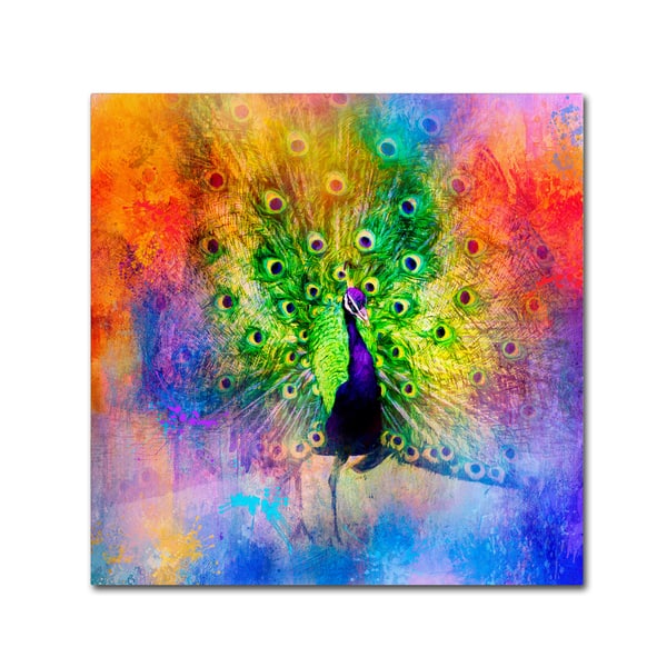 Peacock Magic Canvas Print / Canvas Art by Jane Small - Fine Art America