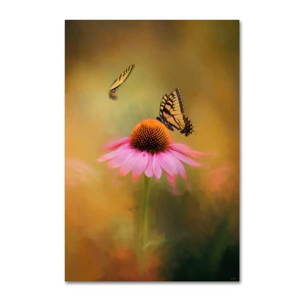 Jai Johnson 'Butterflies At Play' Canvas Art - Overstock - 16581928