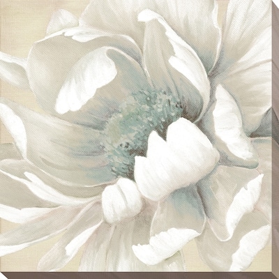 "Winter Blooms II" Giclee Stretched Canvas Wall Art