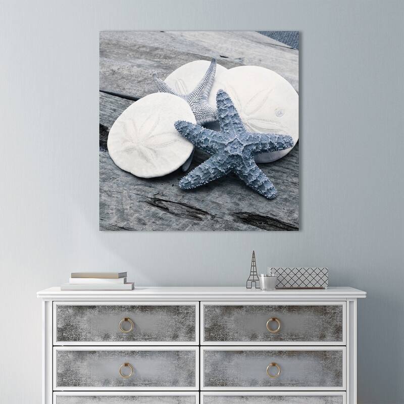 "Driftwood Shell IV" Giclee Stretched Canvas Wall Art