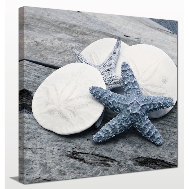 "Driftwood Shell IV" Giclee Stretched Canvas Wall Art