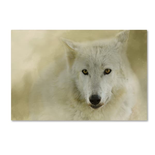 Jai Johnson 'Portrait Of A Timber Wolf' Canvas Art | Overstock.com ...