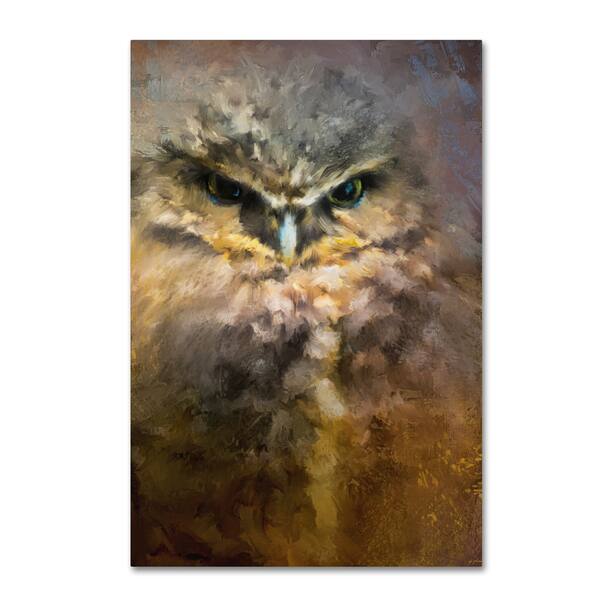 Jai Johnson Burrowing Owl Canvas Art Overstock 16587847