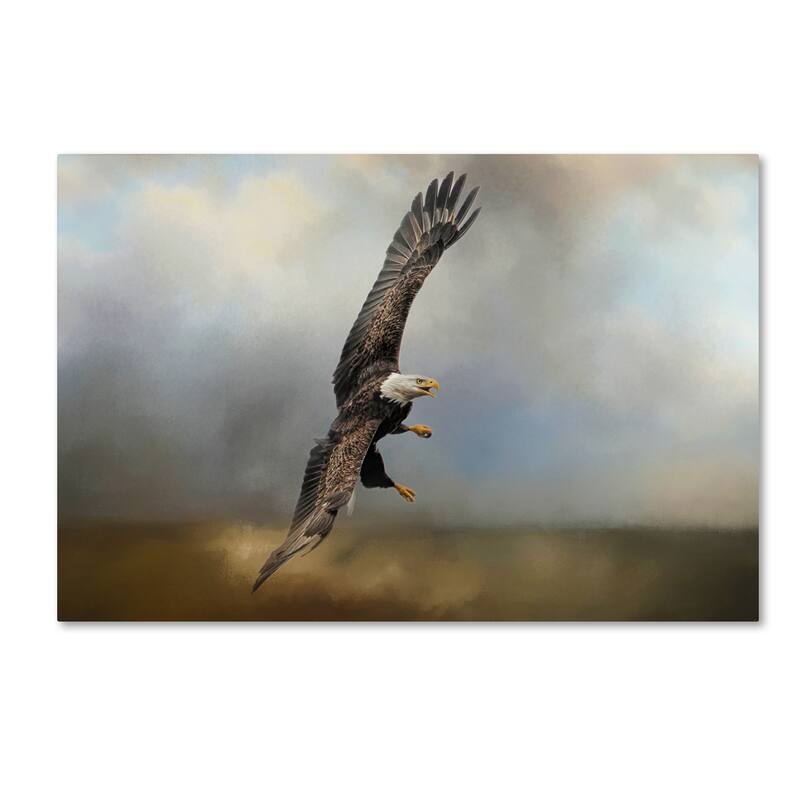 Jai Johnson 'Up Against The Stormy Sea Bald Eagle' Canvas Art - 12x19