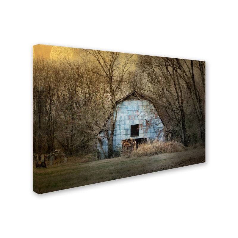 Jai Johnson 'Redtail At The Blue Barn' Canvas Art Bed Bath & Beyond