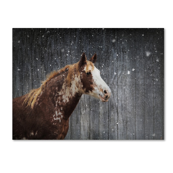 Jai Johnson 'Winters Arrival Horse' Canvas Art