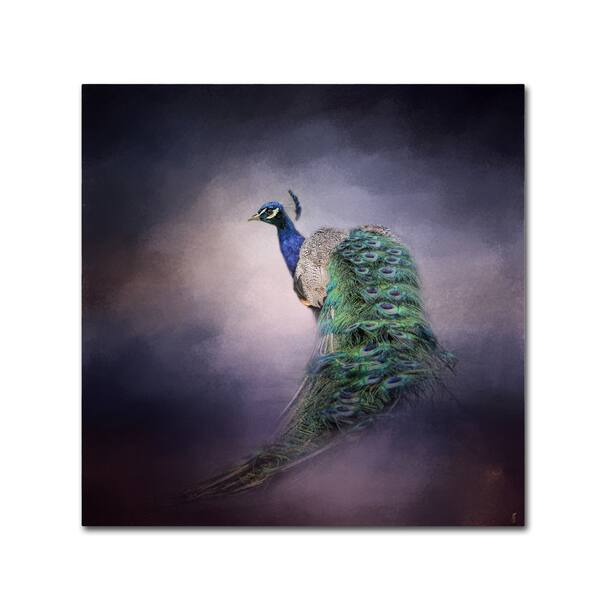 Jai Johnson 'Peacock 11' Canvas Art - Overstock - 16592217