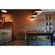 12" Peony LED Pendant Light in Black with Mahogany Bronze Downrod
