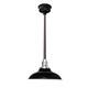 12" Peony LED Pendant Light in Black with Mahogany Bronze Downrod