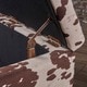 preview thumbnail 5 of 6, Breanna Contemporary Velvet Storage Ottoman by Christopher Knight Home