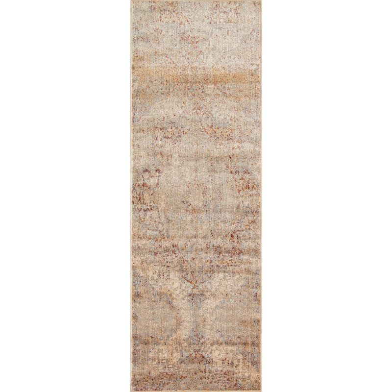 Alexander Home Contessa Traditional Medallion Desert Distressed Rug