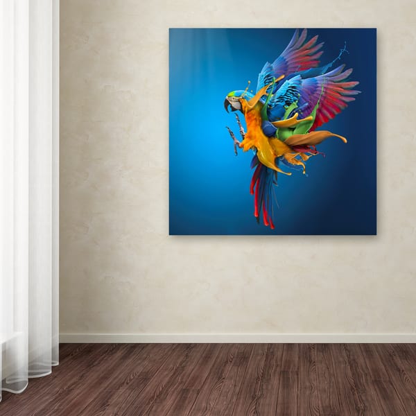 Flying Colours Flying Colours Canvas Art Overstock