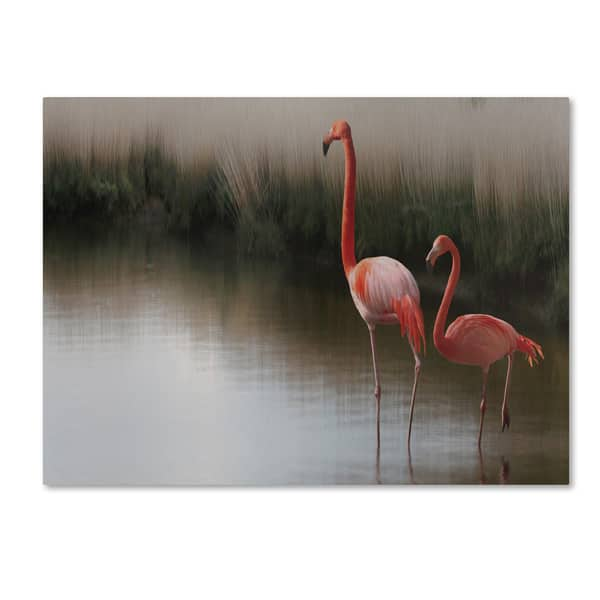 Anna Cseresnjes 'Red Flamingo' Canvas Art - Overstock - 16721557