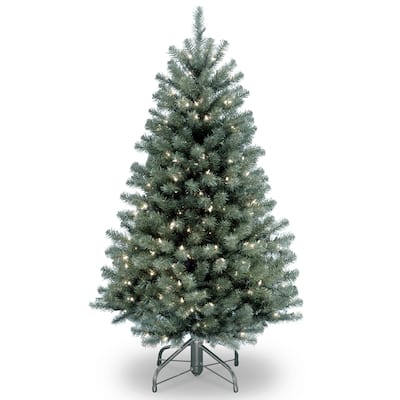 4.5 ft. North Valley Blue Spruce Tree