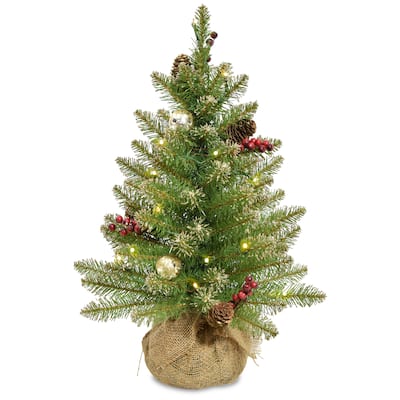 2 ft. Glittery Gold Dunhill® Fir Tree with Battery Operated LED Lights - 2 Foot