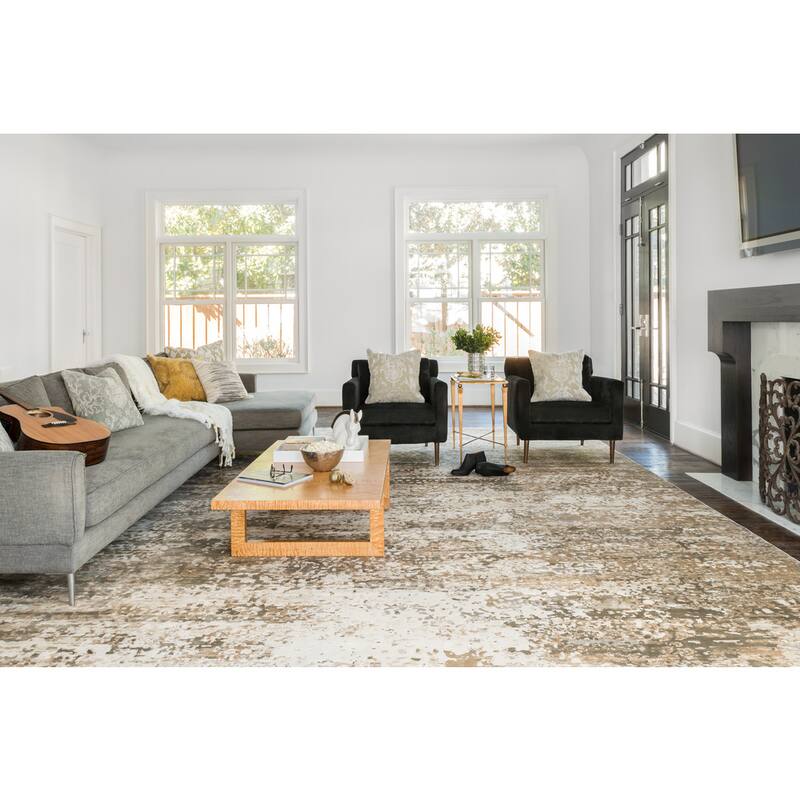 Alexander Home Augustus Modern Distressed Abstract Rug