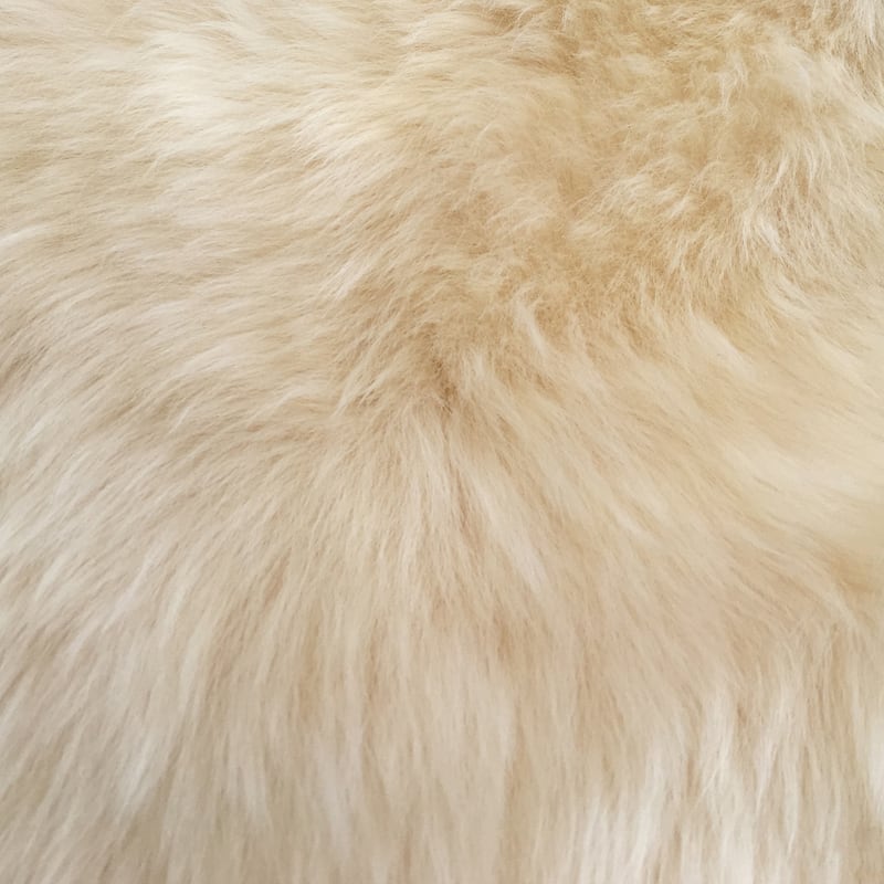 Legacy Faux Sheepskin Double Pelt Shag Runner Rug - 2' x 6' Runner - Champagne
