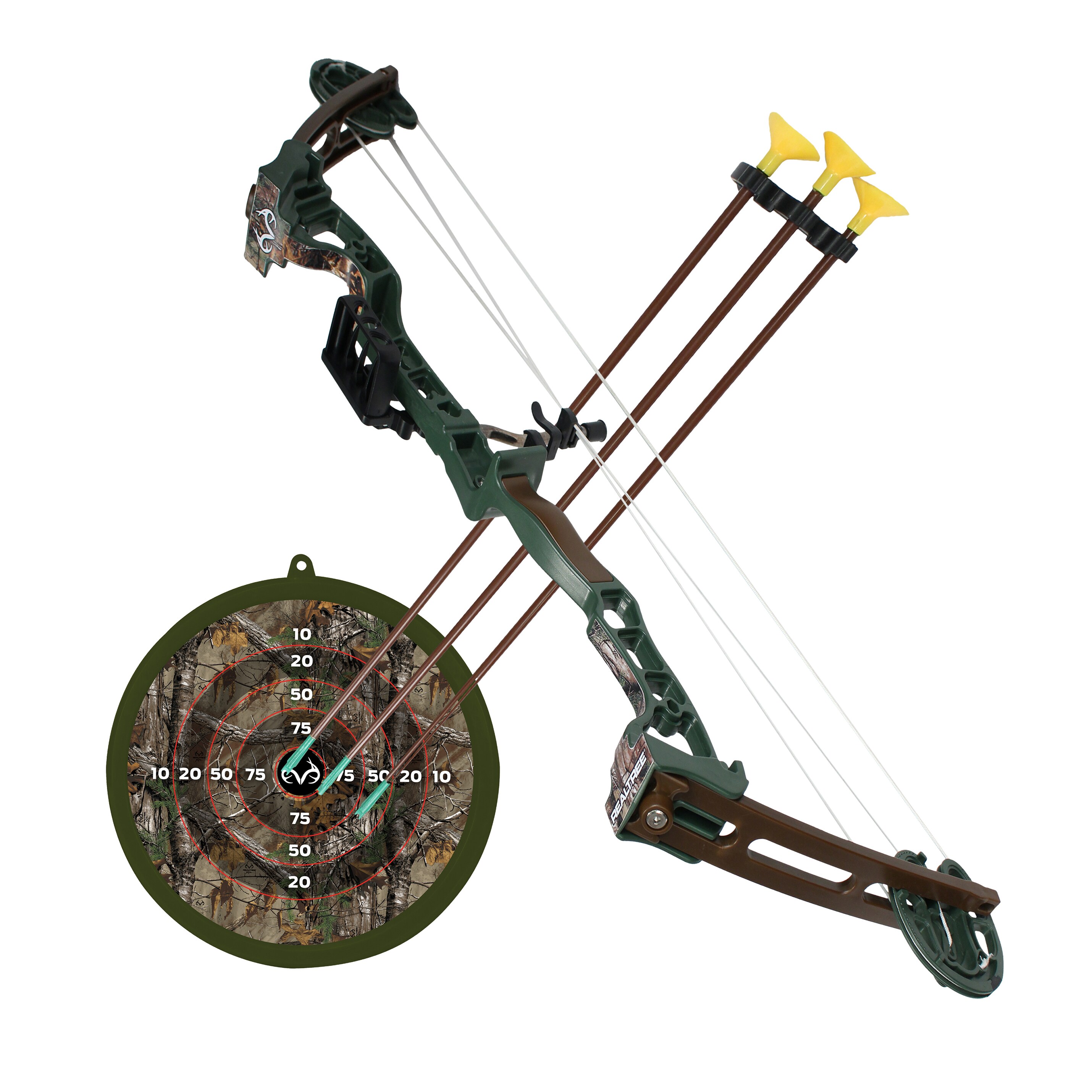 compound bow and arrow