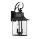 preview thumbnail 3 of 3, Maikoor Black Steel 2-light Outdoor Wall Lantern by Havenside Home