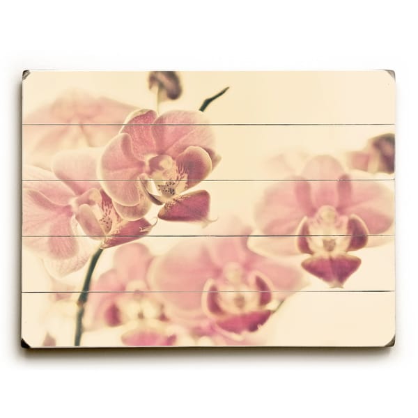 Tiger Lily Pink - Wall Decor by Lisa Argyropoulos