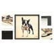 Empire Art 'Boston Terrier' Hand Made Signed Art Collage by EAD Artists ...