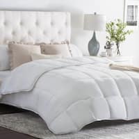 Best Selling Size Twin Xl Comforters Duvet Inserts Find