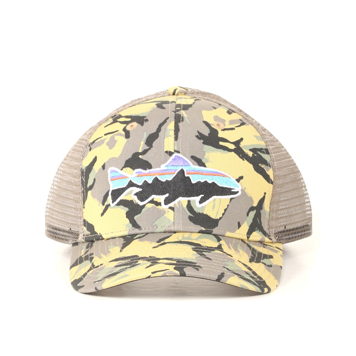 patagonia camo cap