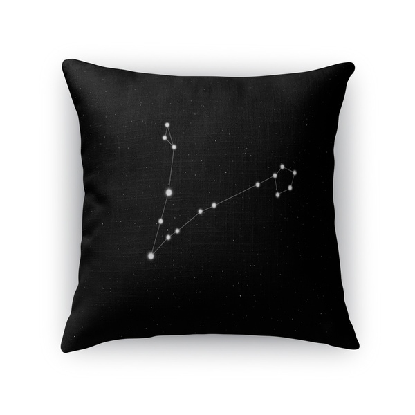 Kavka Designs black/ white pisces accent pillow with insert