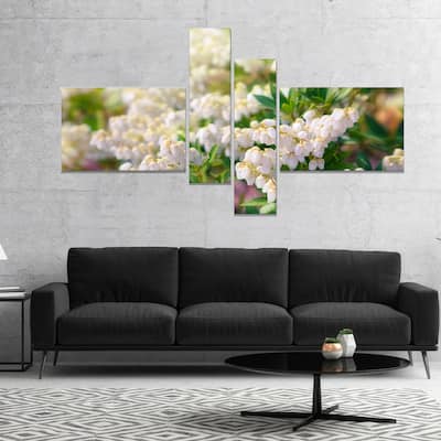 Designart "Beautiful Blooming White Flowers" Floral Canvas Art Print