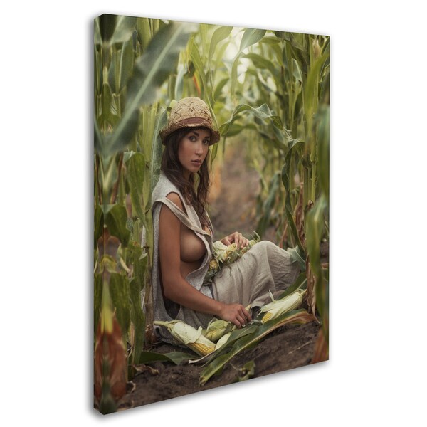 Dubnitskiy David 木製アートボード David Dubnitskiy 'Farmer' Canvas Art - Bed Bath & Beyond - 16942147