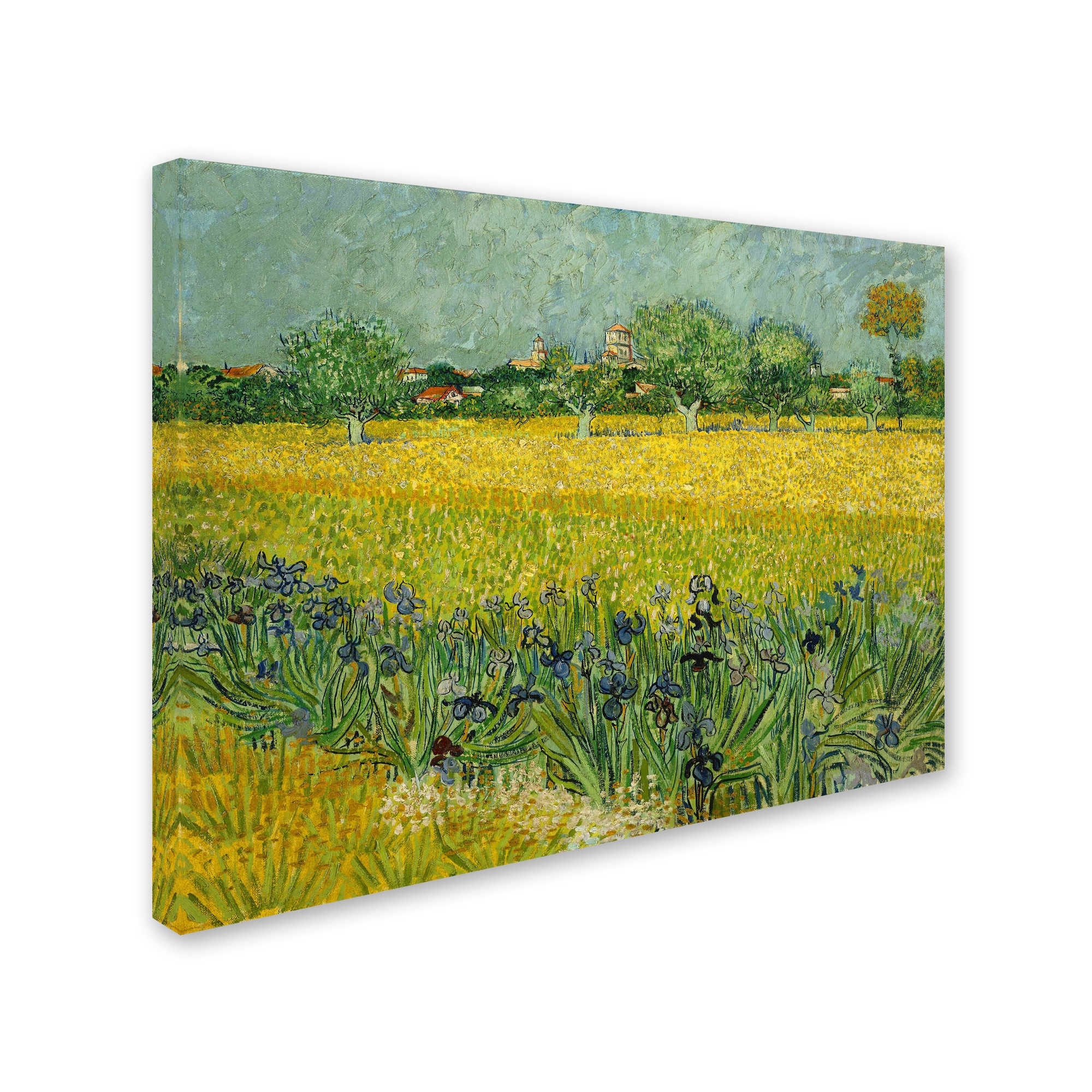 Van Gogh 