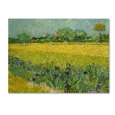 Van Gogh 'Field With Flowers Near Arles' Canvas Art