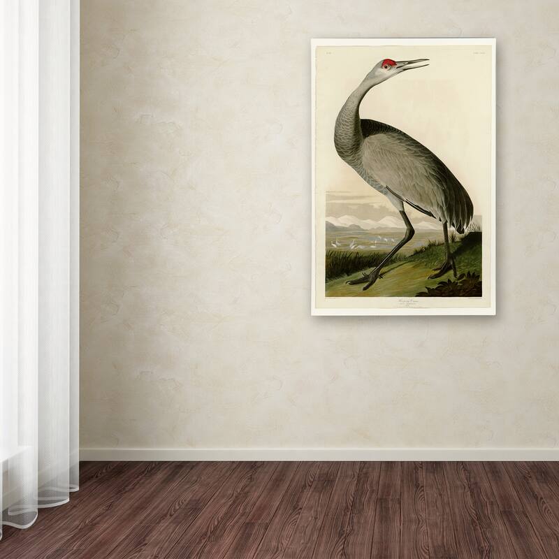 Audubon 'Whooping Craneplate 261' Canvas Art