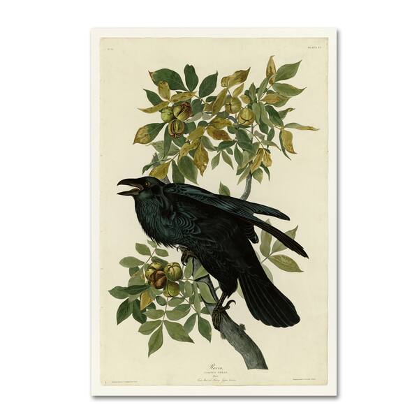 Audubon 'Ravenplate 101' Canvas Art - Bed Bath & Beyond - 16957932