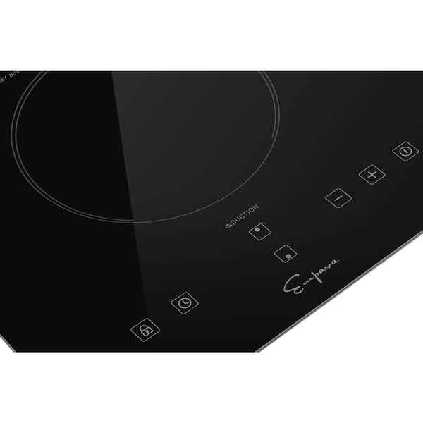 Shop Empava Electric Stove Induction Cooktop With 2 Elements 120v