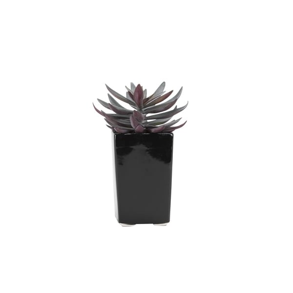 D&W Silks Purple/Green Echeveria in Tall Square Ceramic Planter