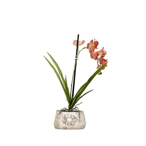 D&W Silks Red/Cream Vanda Orchid in Oval Ceramic Planter