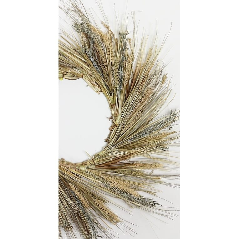 22" Autumn Harvest Wheat Grass and Grapevine Thanksgiving Fall Wreath - Unlit