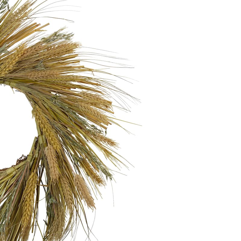 22" Autumn Harvest Wheat Grass and Grapevine Thanksgiving Fall Wreath - Unlit