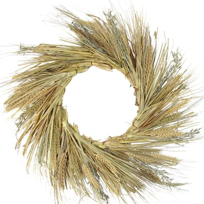 22" Autumn Harvest Wheat Grass and Grapevine Thanksgiving Fall Wreath - Unlit