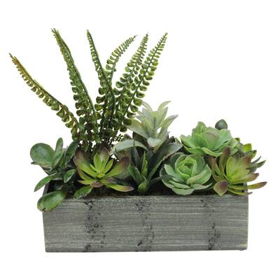 11.75" Artificial Mixed Succulent Plants in a Decorative Weathered Gray Wooden Rectangular Pot