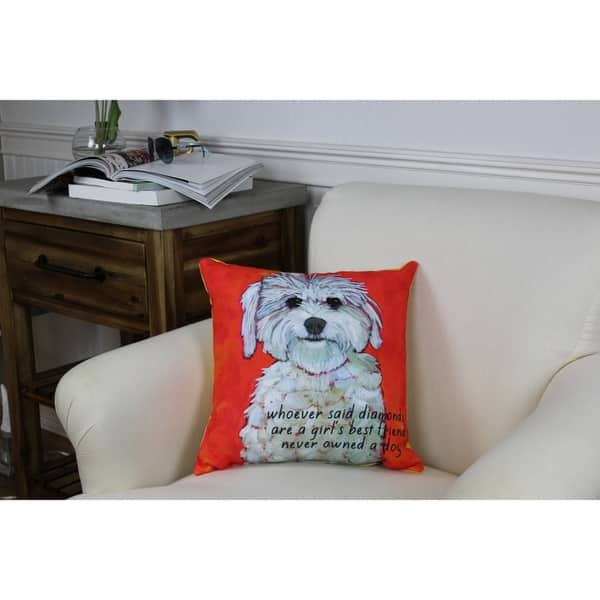 Best Friends Western Leather Throw Pillow