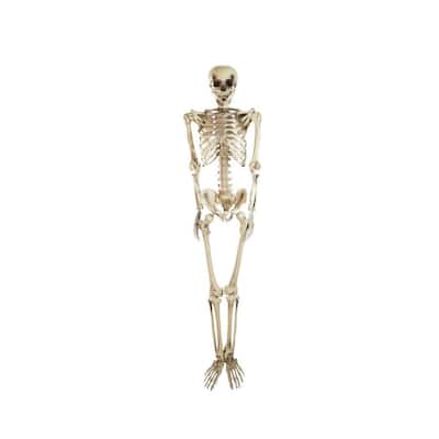 5' Spooky Life Size Skeleton Indoor/Outdoor Halloween Decoration