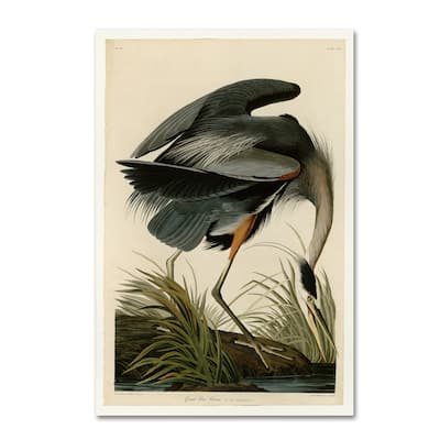 John James Audubon 'Great Blue Heron' Canvas Art
