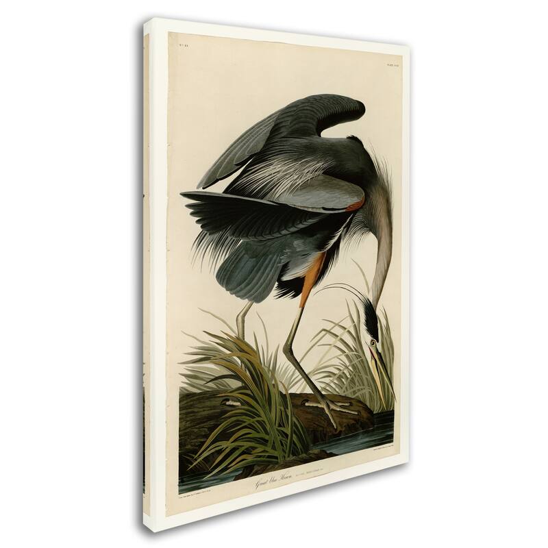 John James Audubon 'Great Blue Heron' Canvas Art