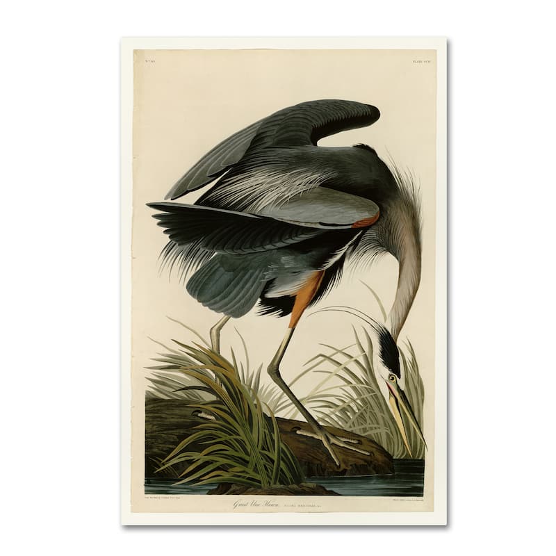 John James Audubon 'Great Blue Heron' Canvas Art